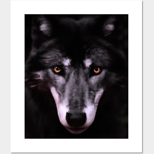 Black Wolf stearing you Wall Art by KonczStore